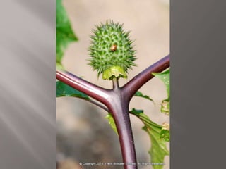 Atmospheric pictures  & Stills 