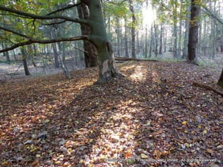 Atmospheric pictures  & Stills 