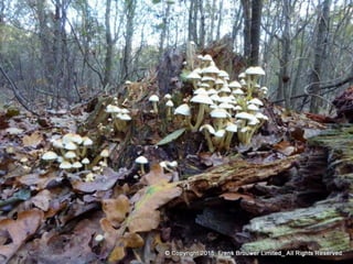 Atmospheric pictures  & Stills 