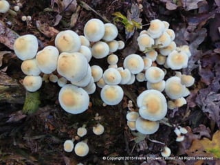 Atmospheric pictures  & Stills 