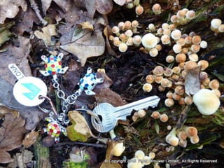 Atmospheric pictures  & Stills 