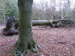 Atmospheric pictures  & Stills 