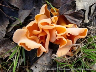 Atmospheric pictures  & Stills 