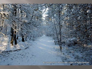 Atmospheric pictures  & Stills 