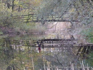 Atmospheric pictures  & Stills 