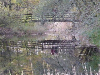 Atmospheric pictures  & Stills 