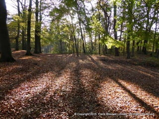 Atmospheric pictures  & Stills 