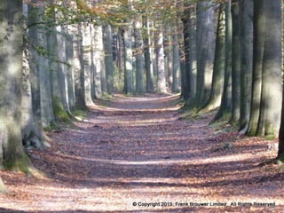 Atmospheric pictures  & Stills 