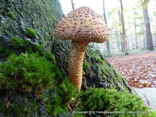 Atmospheric pictures  & Stills 