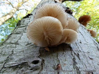 Atmospheric pictures  & Stills 