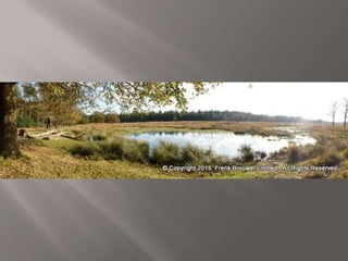 Atmospheric pictures  & Stills 