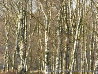 Atmospheric pictures  & Stills 