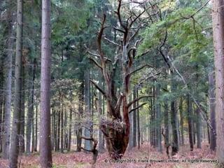 Atmospheric pictures  & Stills 