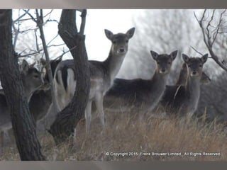 Atmospheric pictures  & Stills 