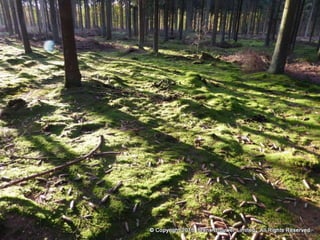 Atmospheric pictures  & Stills 