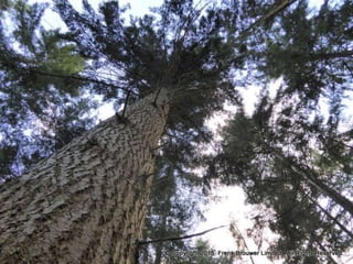 Atmospheric pictures  & Stills 