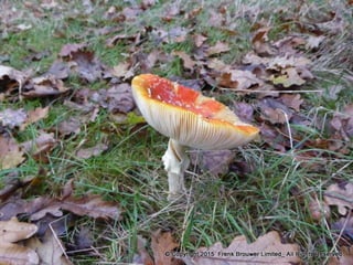 Atmospheric pictures  & Stills 