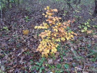 Atmospheric pictures  & Stills 