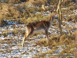 Atmospheric pictures  & Stills 