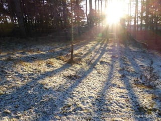 Atmospheric pictures  & Stills 