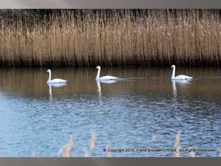 Atmospheric pictures  & Stills 