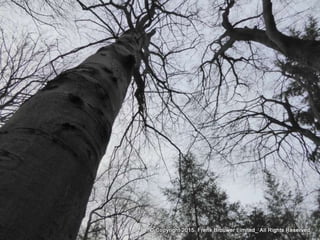 Atmospheric pictures  & Stills 