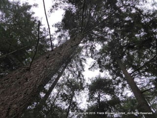 Atmospheric pictures  & Stills 