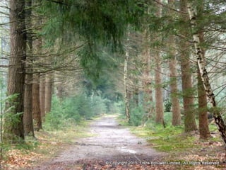 Atmospheric pictures  & Stills 