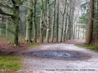 Atmospheric pictures  & Stills 