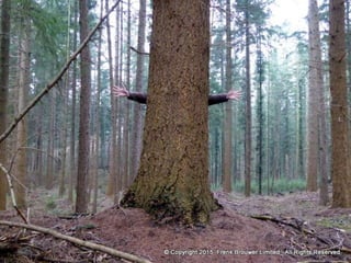 Atmospheric pictures  & Stills 