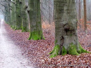 Atmospheric pictures  & Stills 