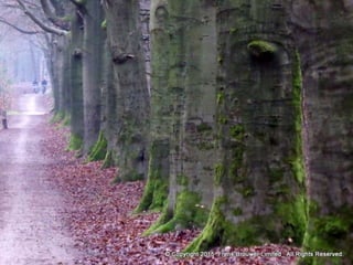 Atmospheric pictures  & Stills 