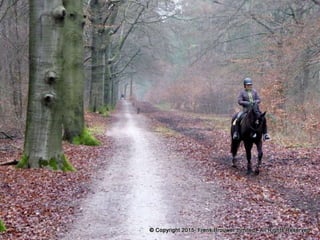 Atmospheric pictures  & Stills 