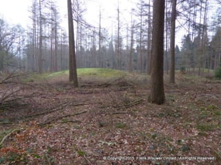 Atmospheric pictures  & Stills 