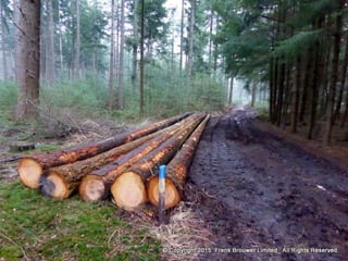 Atmospheric pictures  & Stills 