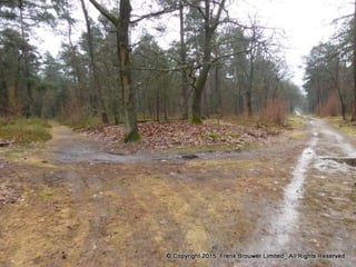 Atmospheric pictures  & Stills 