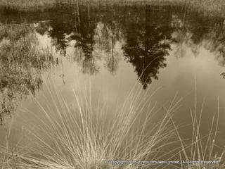 Atmospheric pictures  & Stills 