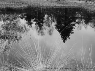 Atmospheric pictures  & Stills 