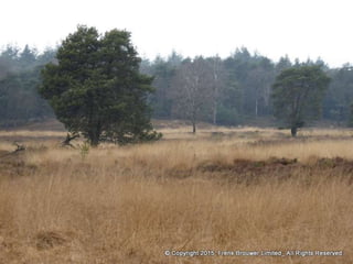 Atmospheric pictures  & Stills 