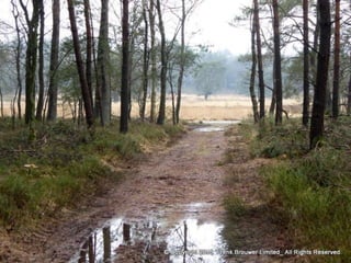 Atmospheric pictures  & Stills 