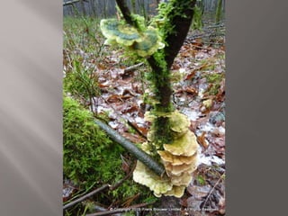 Atmospheric pictures  & Stills 