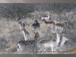 Atmospheric pictures  & Stills 