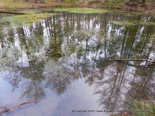 Atmospheric pictures  & Stills 