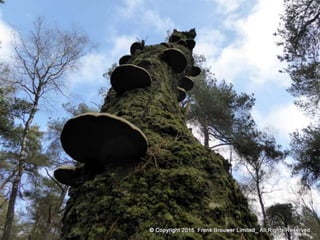 Atmospheric pictures  & Stills 