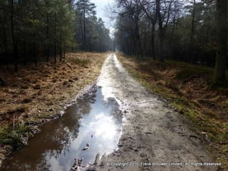 Atmospheric pictures  & Stills 