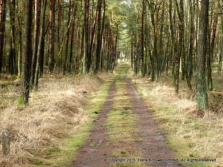 Atmospheric pictures  & Stills 