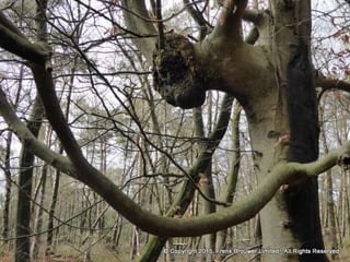 Atmospheric pictures  & Stills 