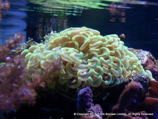 Atmospheric pictures  & Stills 