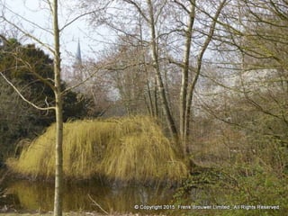 Atmospheric pictures  & Stills 