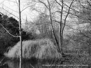 Atmospheric pictures  & Stills 